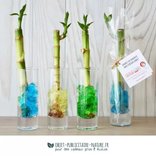 Canne chinoise - Bambou publicitaire en vase verre personnalisable
