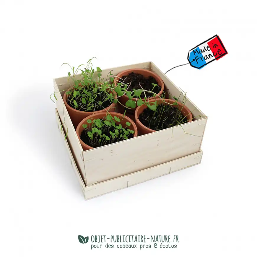 Coffret cadeau publicitaire avec 4 aromatiques en pot de terre cuite