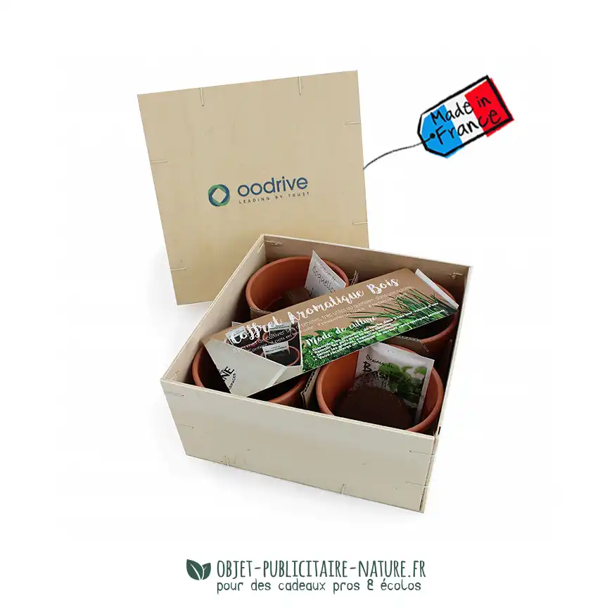 Coffret cadeau publicitaire avec 4 aromatiques en pot de terre cuite à personnaliser