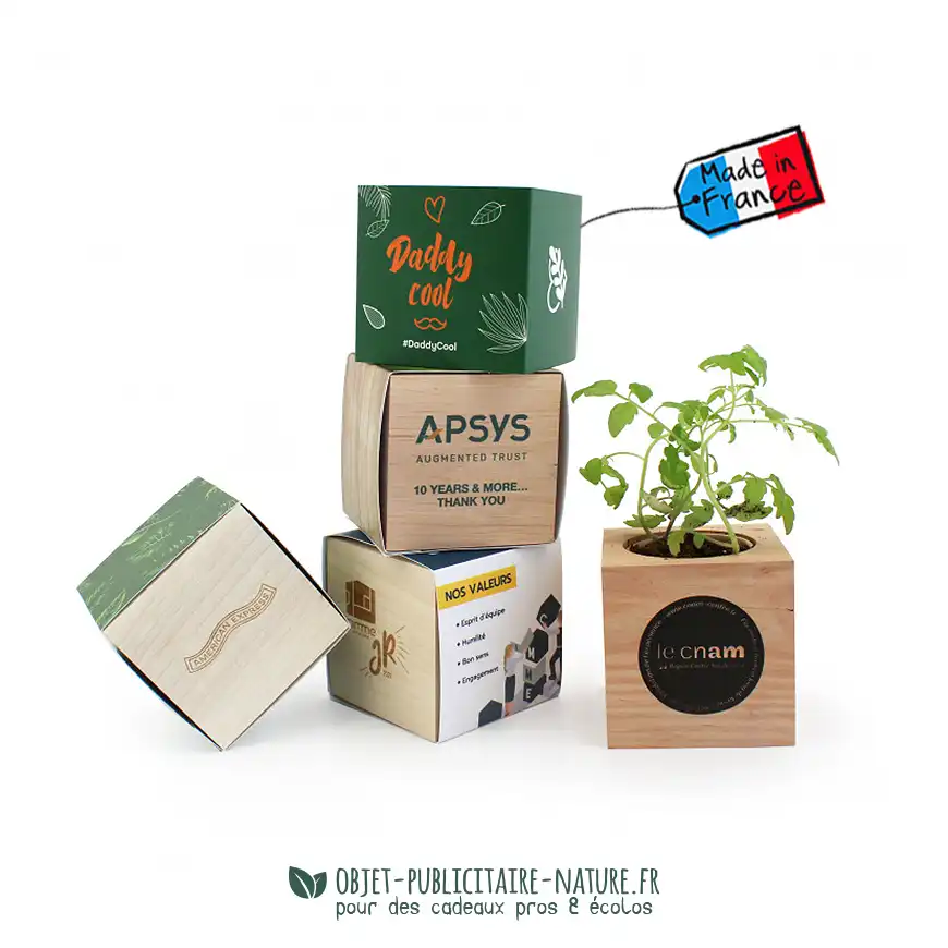 Kit de plantation publicitaire personnalisable en cube bois