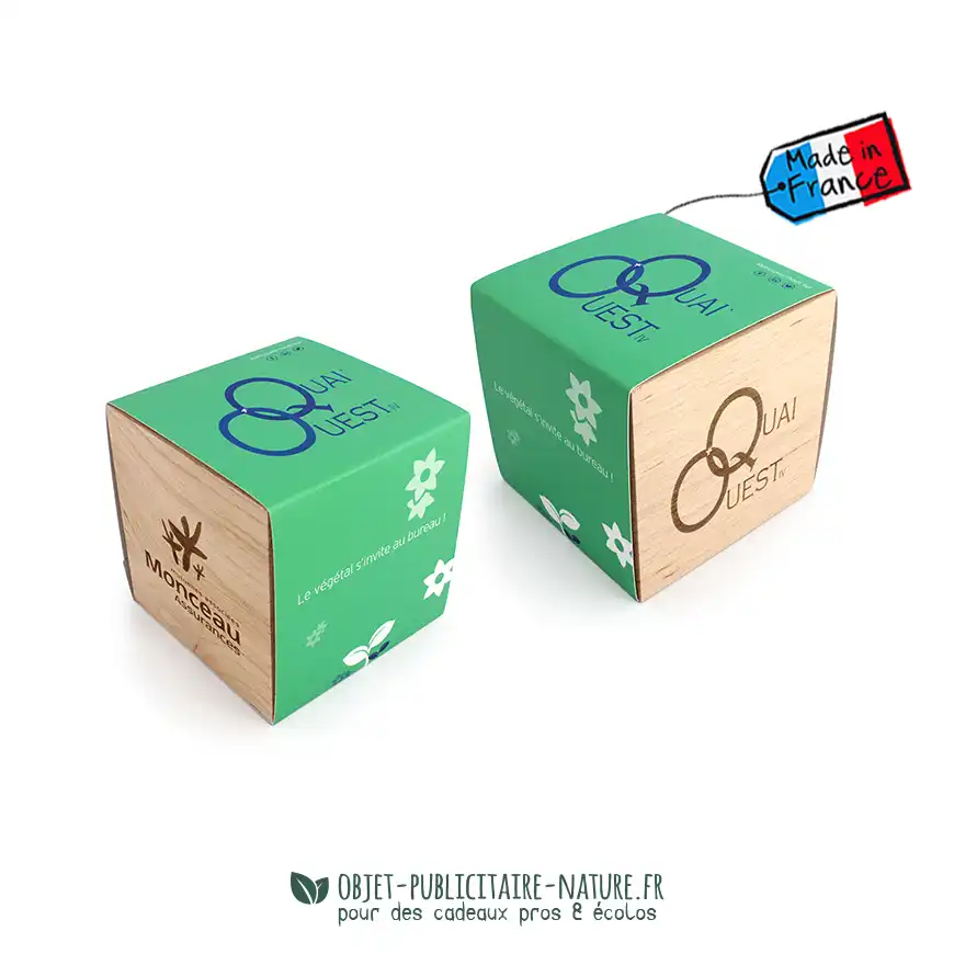 Kit de plantation publicitaire personnalisé en cube bois