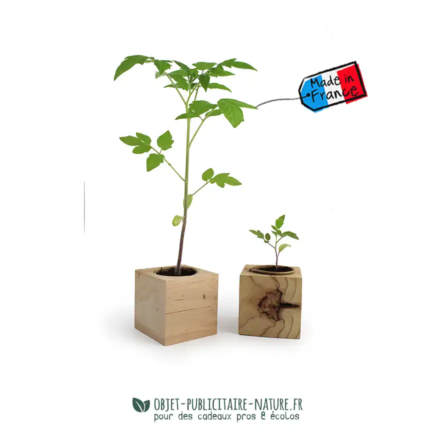 Kit de plantation publicitaire personnalisé en cube bois