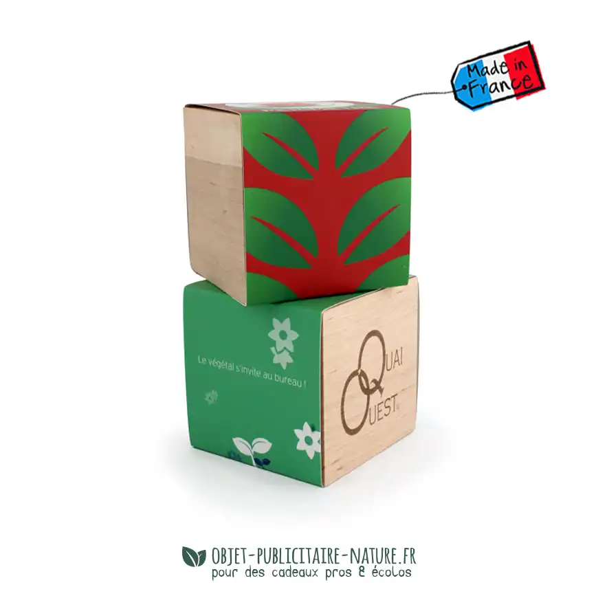 Kit de plantation publicitaire personnalisable en cube bois