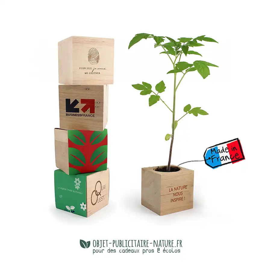 Kit de plantation publicitaire personnalisable en cube bois