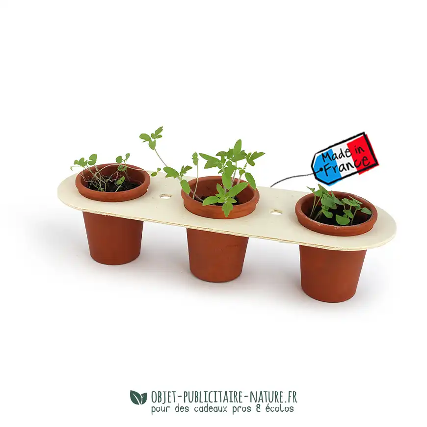 Kit de plantation à publicitaire avec 3 pots terre cuite et support bois