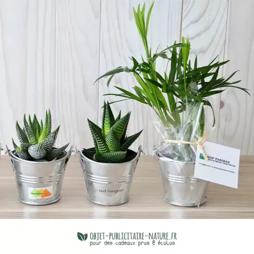 Petite plante dépolluante de bureau en pot zinc 6 cm à personnaliser