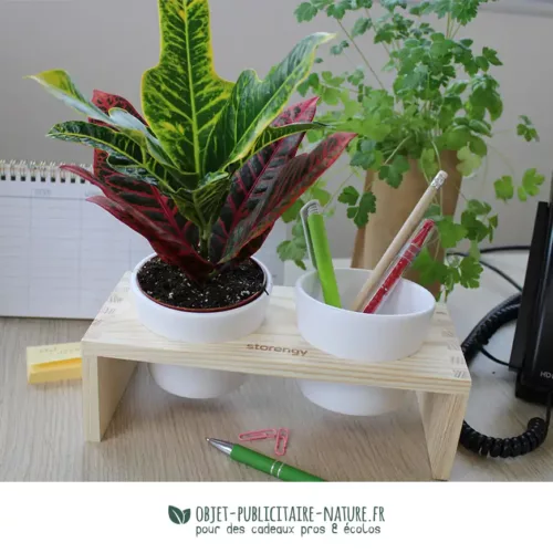 Plateau bois avec 2 pots céramique et une plante dépolluante publicitaire