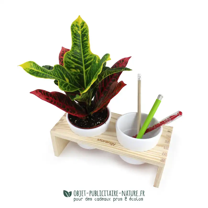 Plateau bois avec 2 pots céramique et une plante dépolluante publicitaire