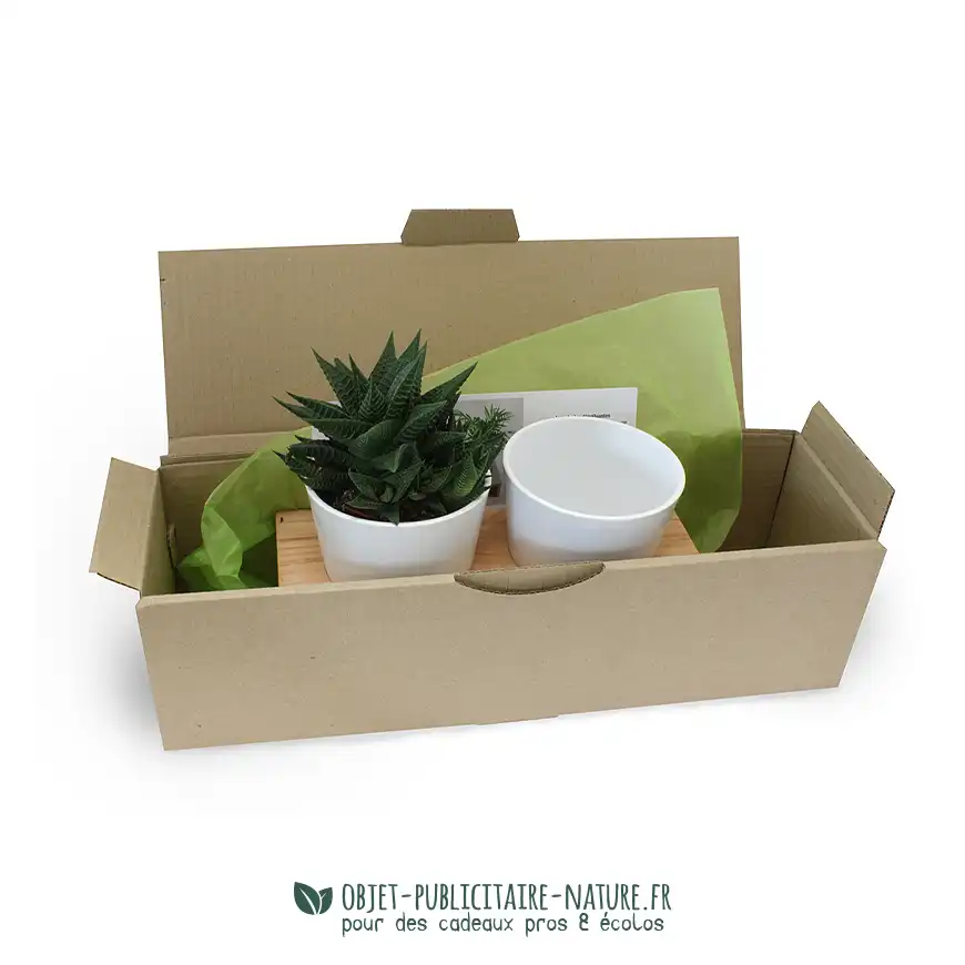 Plateau bois avec 2 pots céramique et une plante dépolluante personnalisable