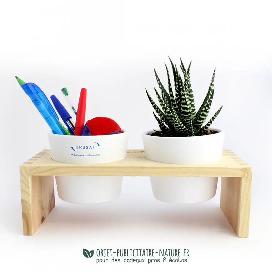 Plateau bois avec 2 pots céramique et une plante dépolluante personnalisable