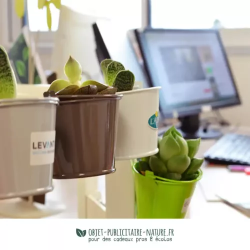 Plante publicitaire en pot zinc aimanté personnalisable