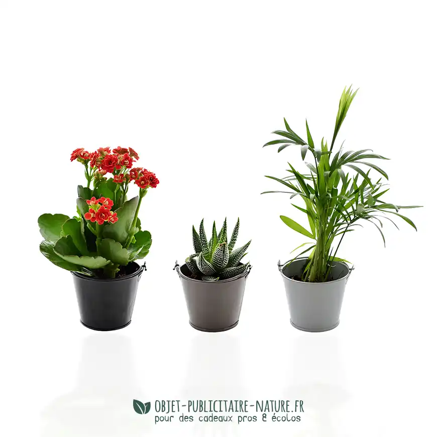 Plante publicitaire en pot zinc aimanté personnalisable