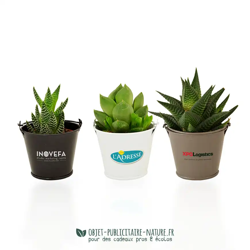 Plante publicitaire en pot zinc aimanté personnalisé