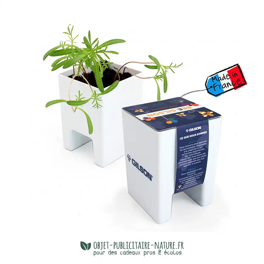 Kit de plantation publicitaire écologique pot bureau ou écran