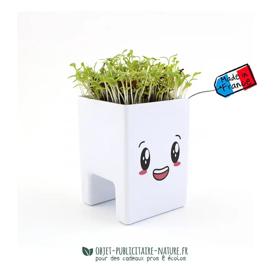 Kit de plantation publicitaire écologique pot bureau ou écran d'ordinateur
