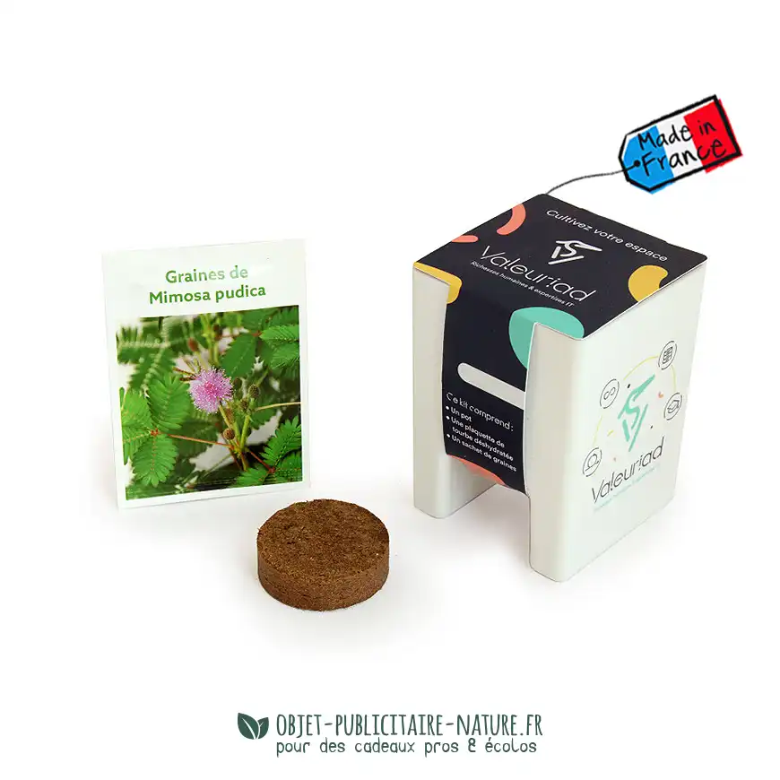 Kit de plantation publicitaire personnalisable écologique pot bureau ou écran d'ordinateur