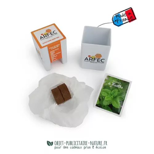 Kit de plantation personnalisable écologique pot bureau ou écran d'ordinateur