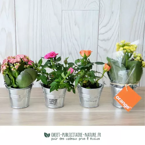 Petite plante fleurie en pot zinc 6 cm personnalisable
