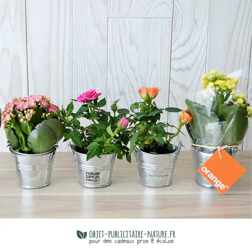 Petite plante fleurie en pot zinc 6 cm personnalisable