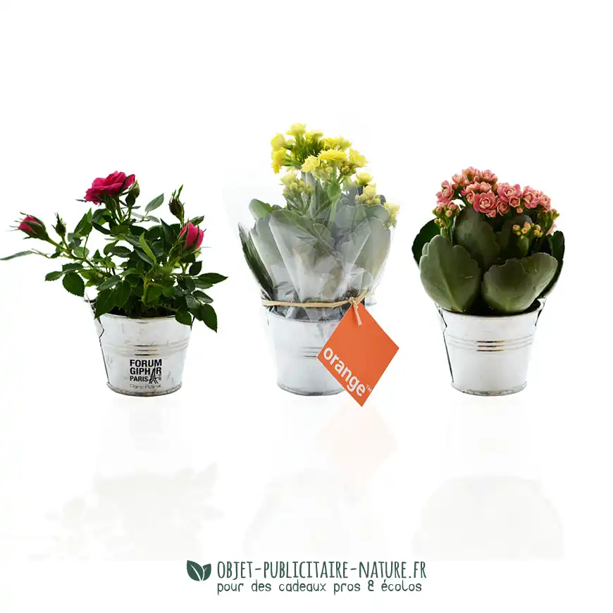 Petite plante fleurie en pot zinc 6 cm personnalisable