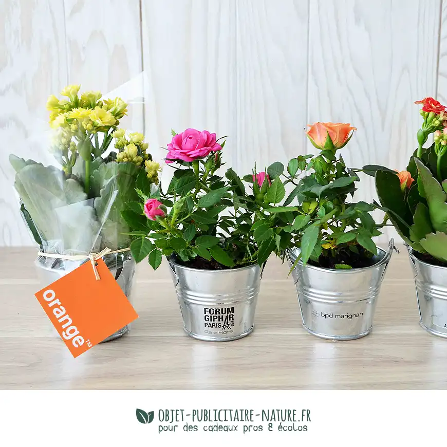Petite plante fleurie en pot zinc 6 cm à personnaliser