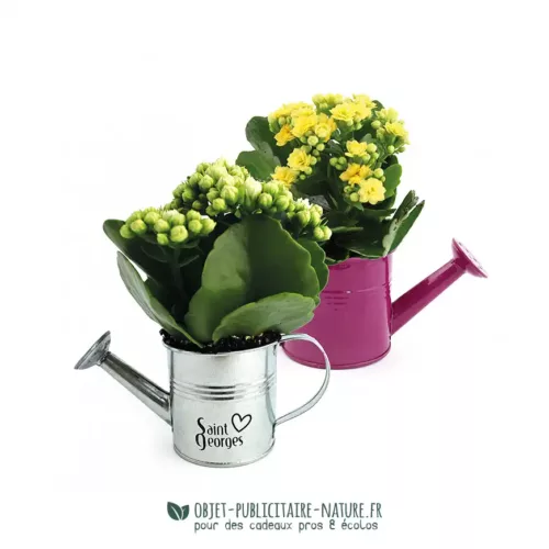 Plante publicitaire en pot arrosoir zinc à personnaliser