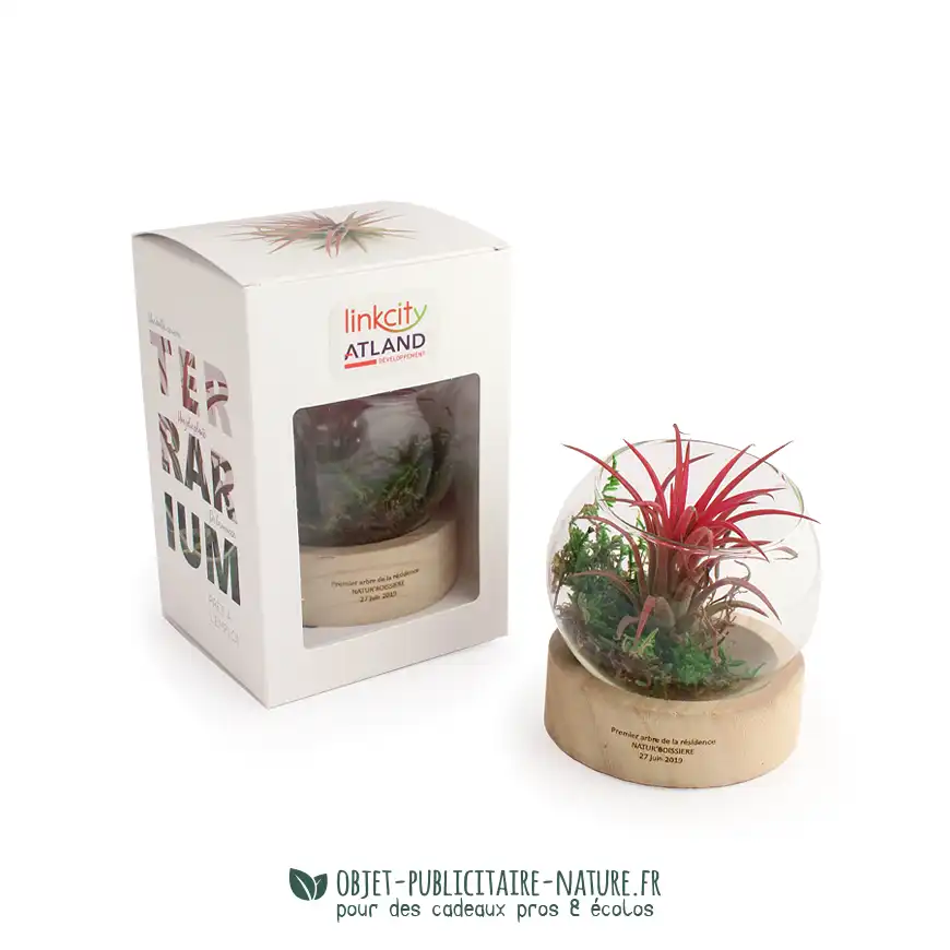 Terrarium globe en verre à personnaliser avec socle en bois