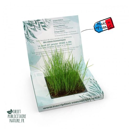 Carte graines gazon pousser bureau