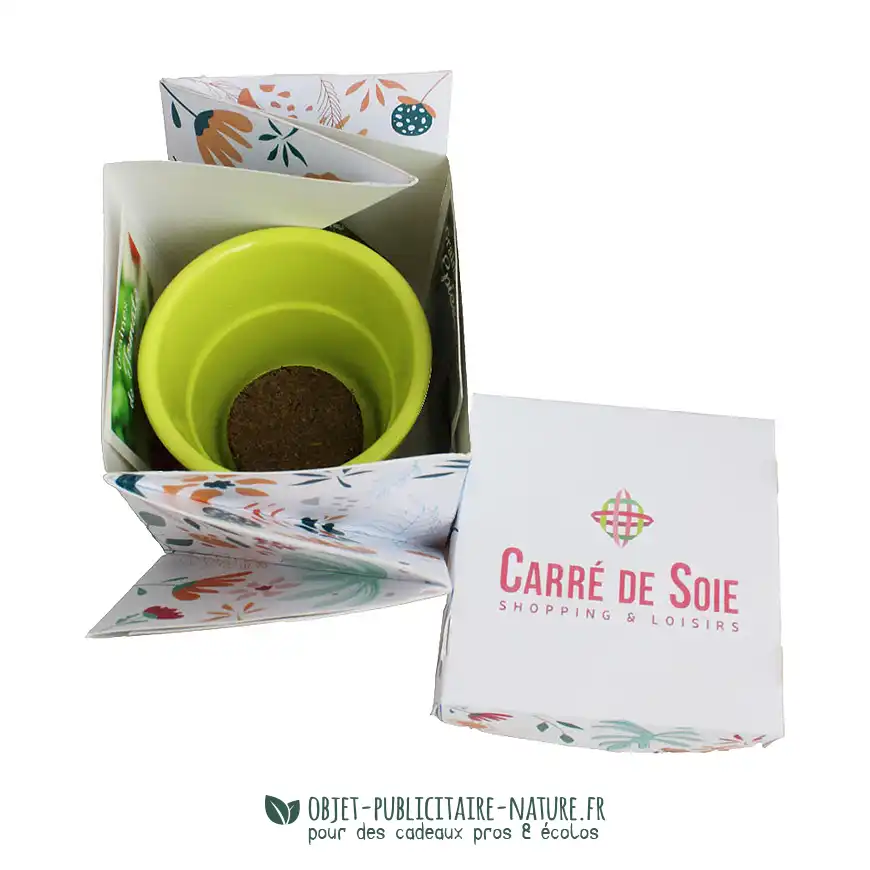 Kit de plantation avec pot en céramique vert dans boîte surprise personnalisable