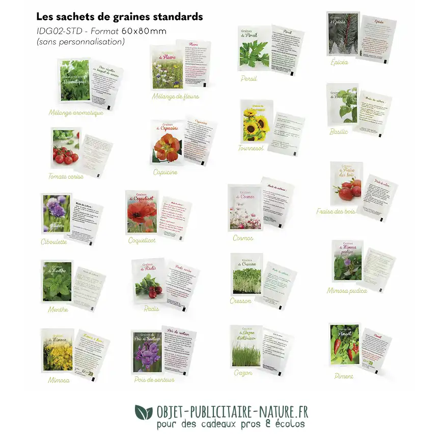 Liste des graines pour le Kit de plantation dans boîte surprise, pot en céramique, à personnaliser