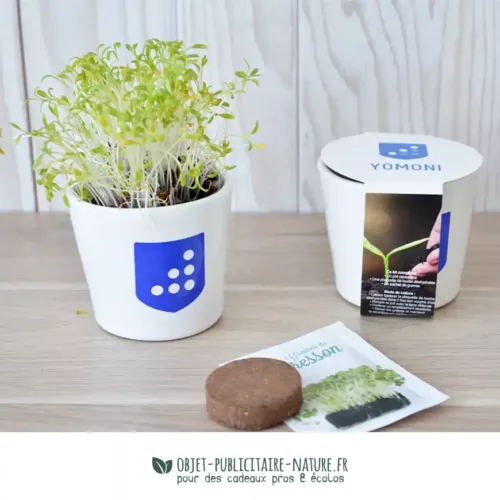 Kit de plantation avec pot en céramique publicitaire