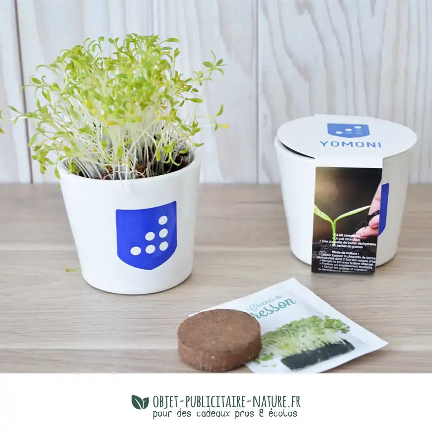 Kit de plantation avec pot en céramique publicitaire