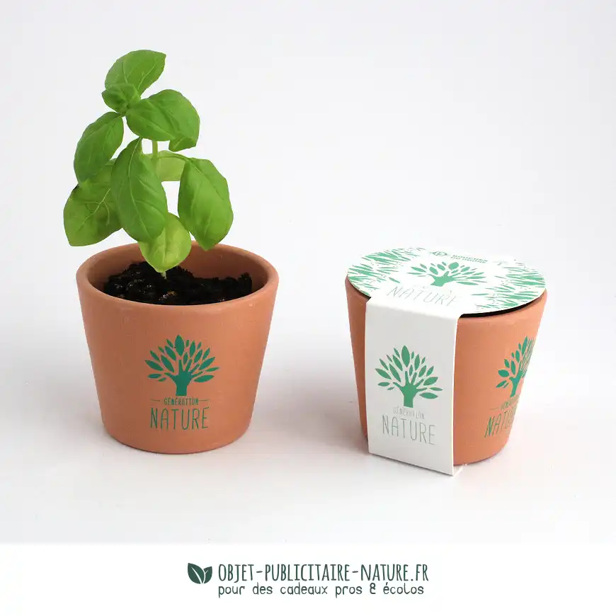 Kit de plantation avec pot en céramique à personnaliser