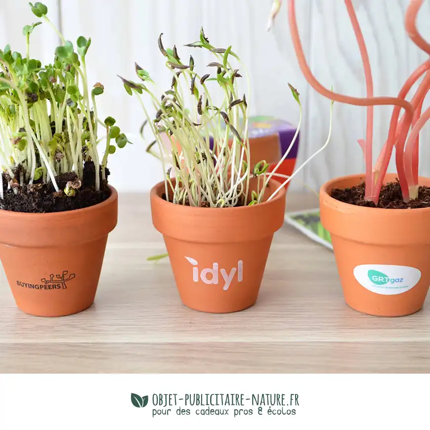 Kit de plantation publicitaire en pot cuite terre cuite petit format 6cm personnalisable