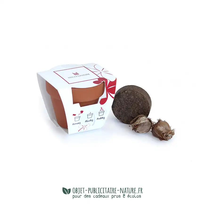 Kit de plantation publicitaire en pot cuite terre cuite petit format 6cm personnalisé
