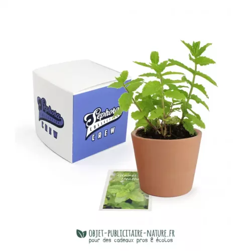 Petit cube de plantation avec pot en terre cuite dans boîte carton personnalisable