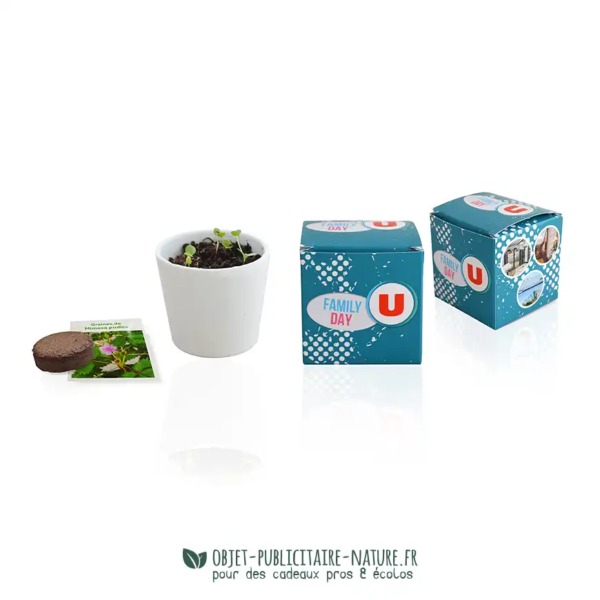 Petit cube de plantation avec pot en terre cuite dans boîte carton à personnaliser