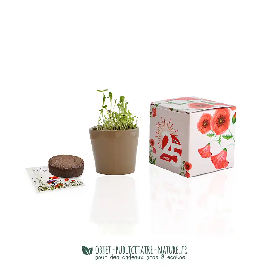 Petit cube de plantation publicitaire avec pot en terre cuite dans boîte carton à personnaliser