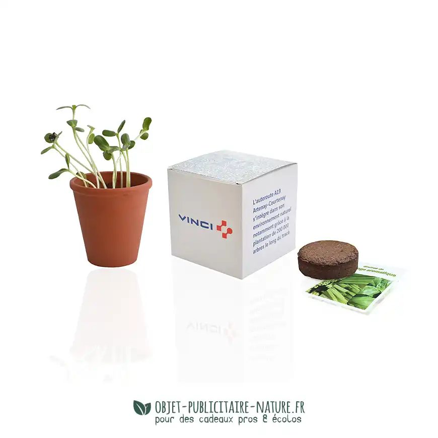 Grand cube de plantation boîte carton personnalisable en pot terre cuite