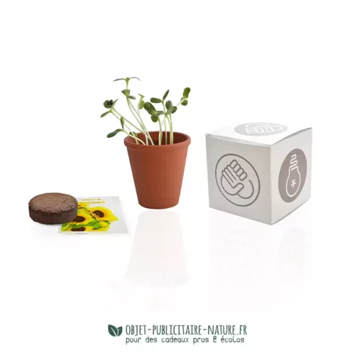 Grand cube de plantation en pot terre cuite dans boîte carton à personnaliser