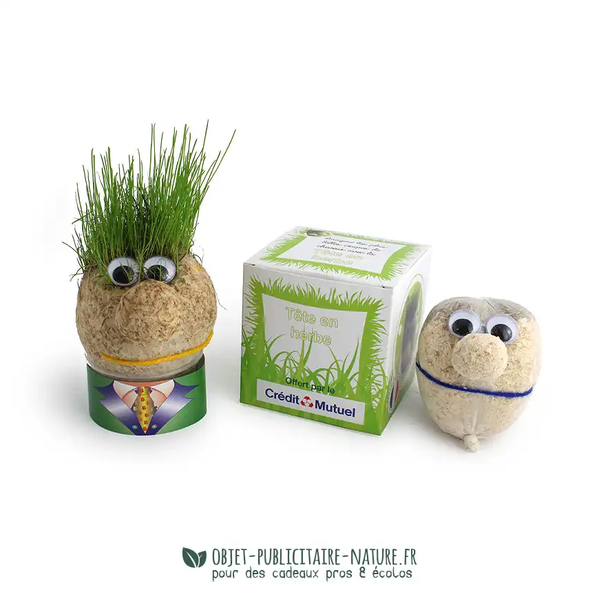 Tête avec graines de gazon avec boite publicitaire personnalisable