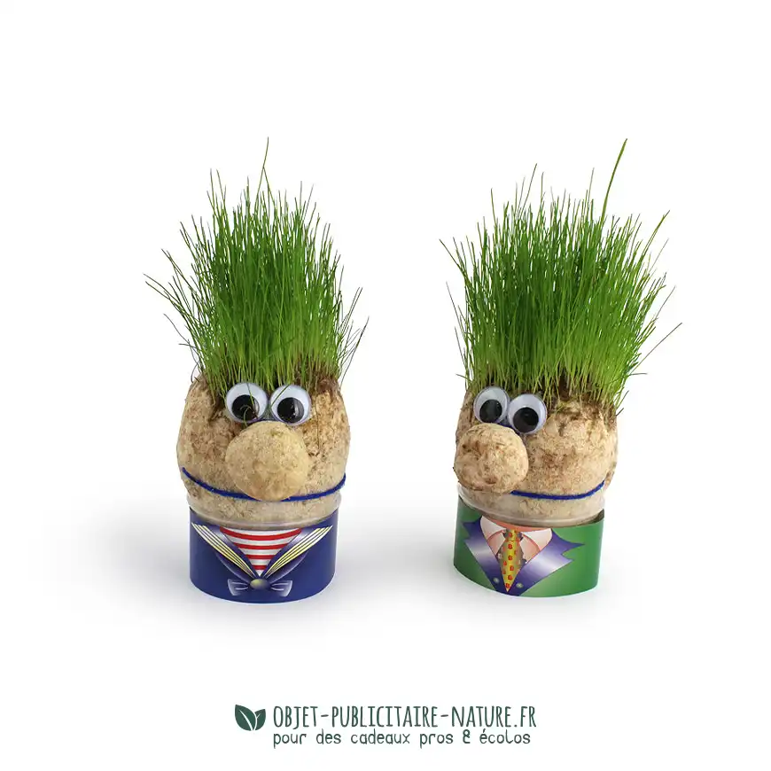 Tête avec graines de gazon avec boite publicitaire à personnaliser