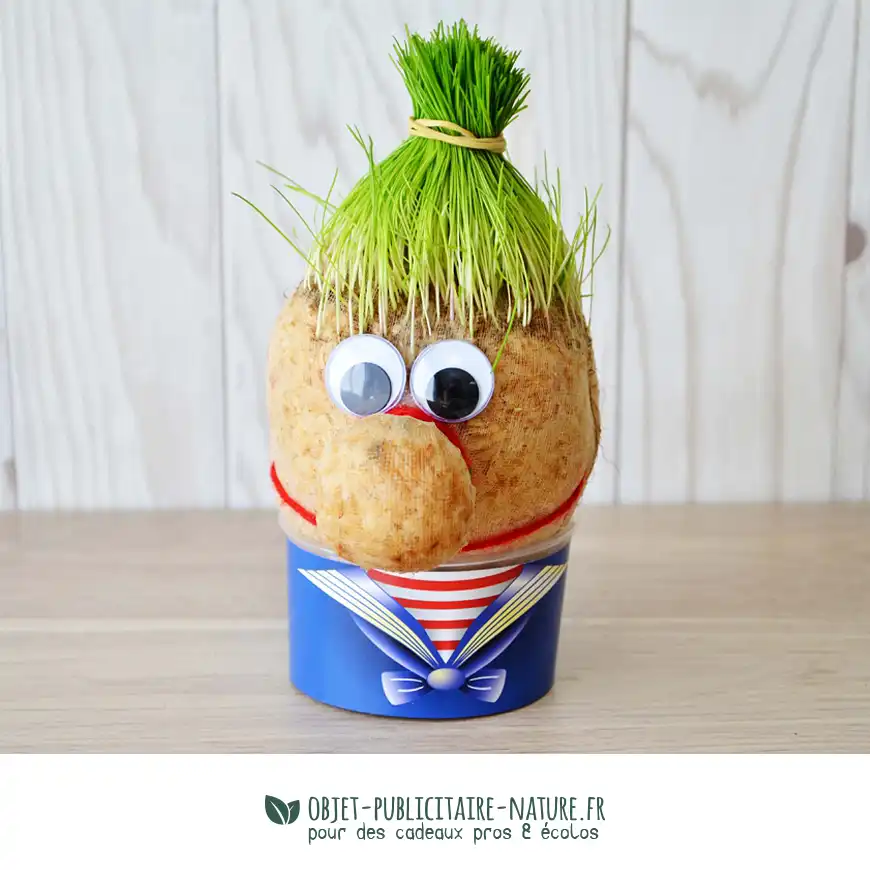 Tête avec graines de gazon avec boite publicitaire à personnaliser