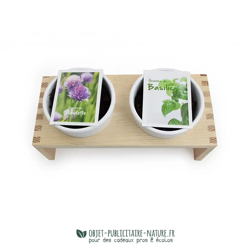 Plateau de duo aromatiques - kit de plantation publicitaire