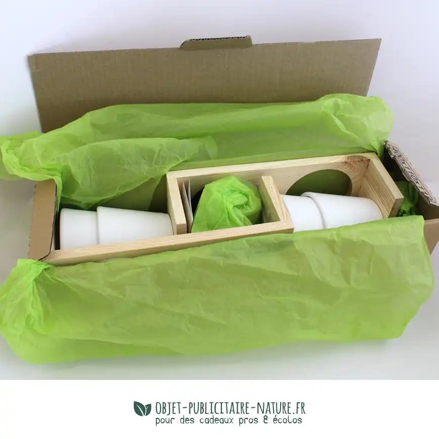 Plateau de duo aromatiques publicitaire - kit de plantation personnalisable