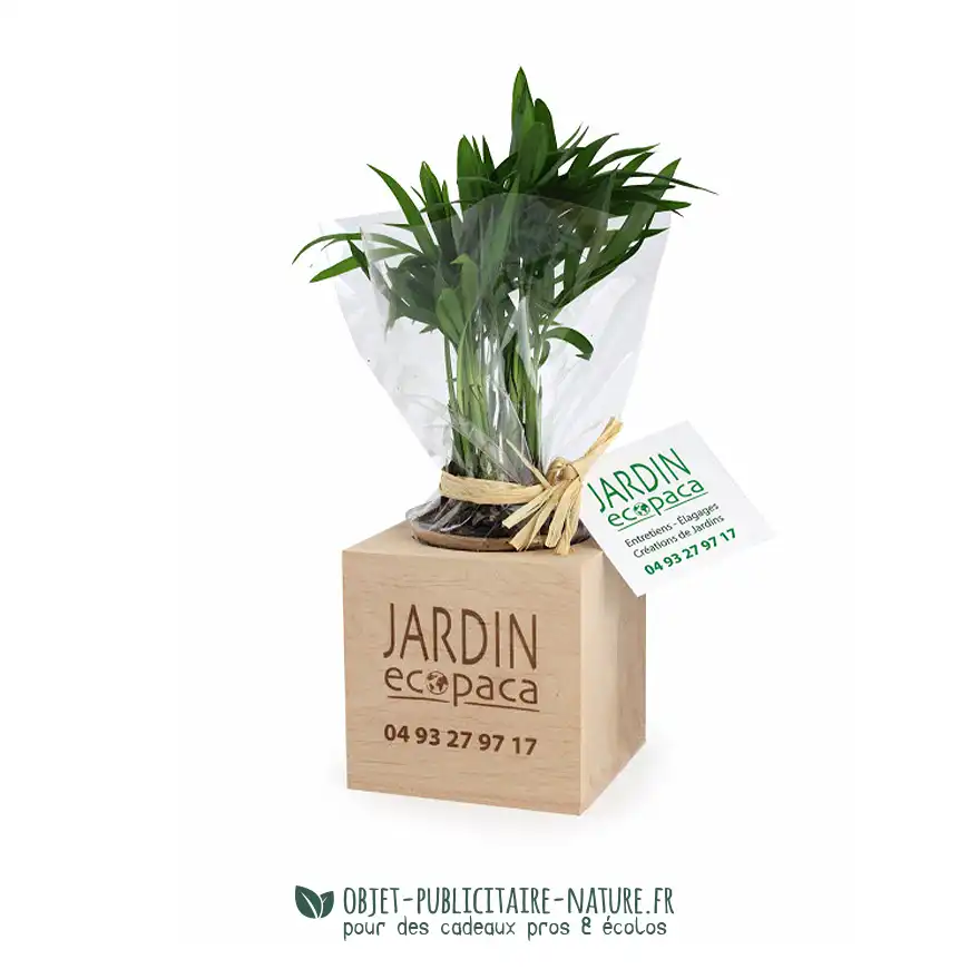 Mini arbre ou mini plante publicitaire présenté en cube bois personnalisable