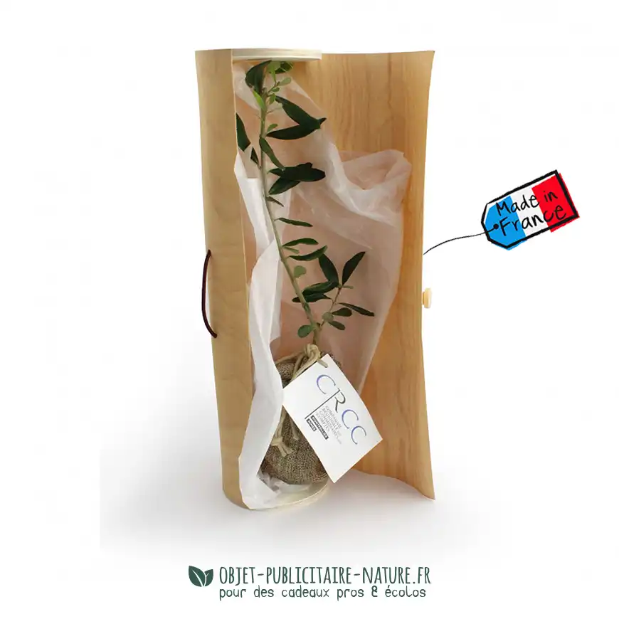 Arbre publicitaire en tube bois naturel à personnaliser