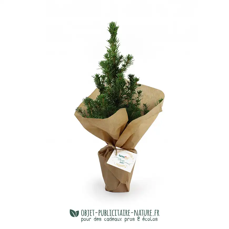 Sapin de Noël cadeau d'affaire personnalisé pour Noël