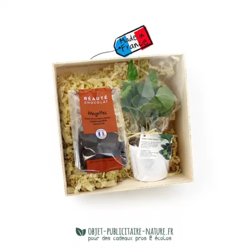 Coffret cadeau publicitaire plant de caféier et sachet de chocolat
