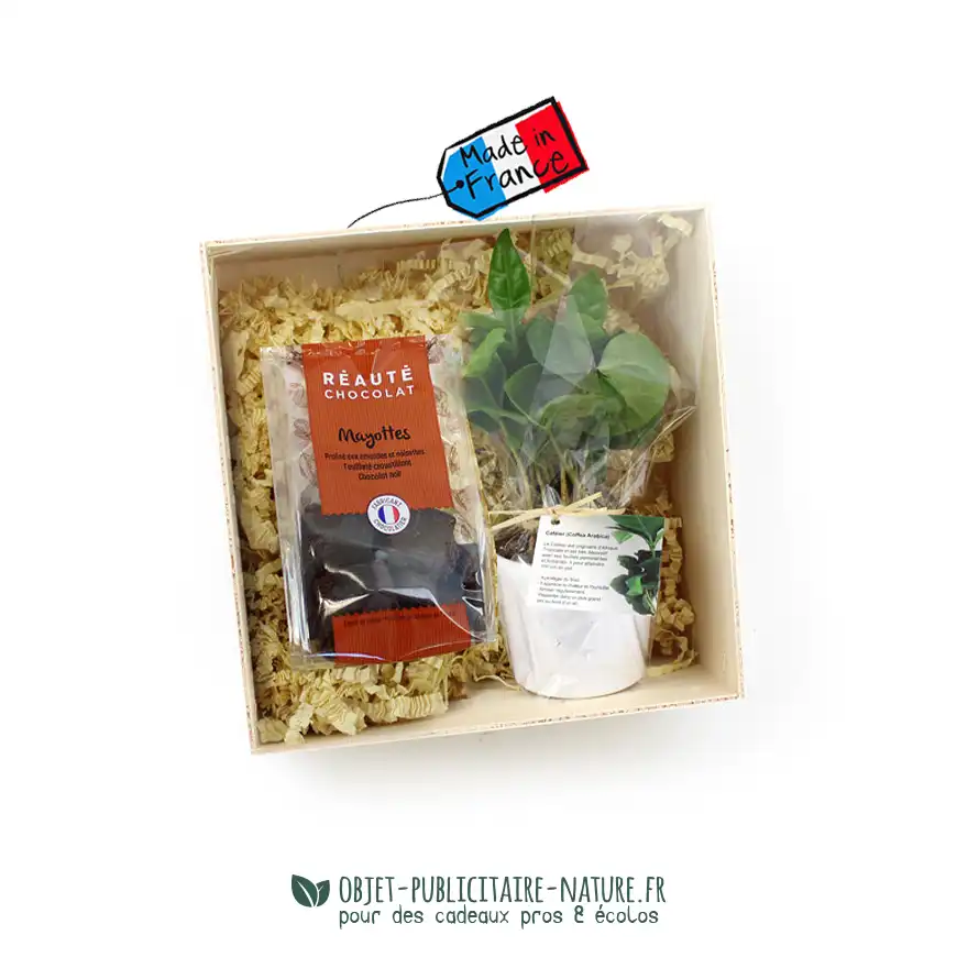 Coffret cadeau publicitaire plant de caféier et sachet de chocolat